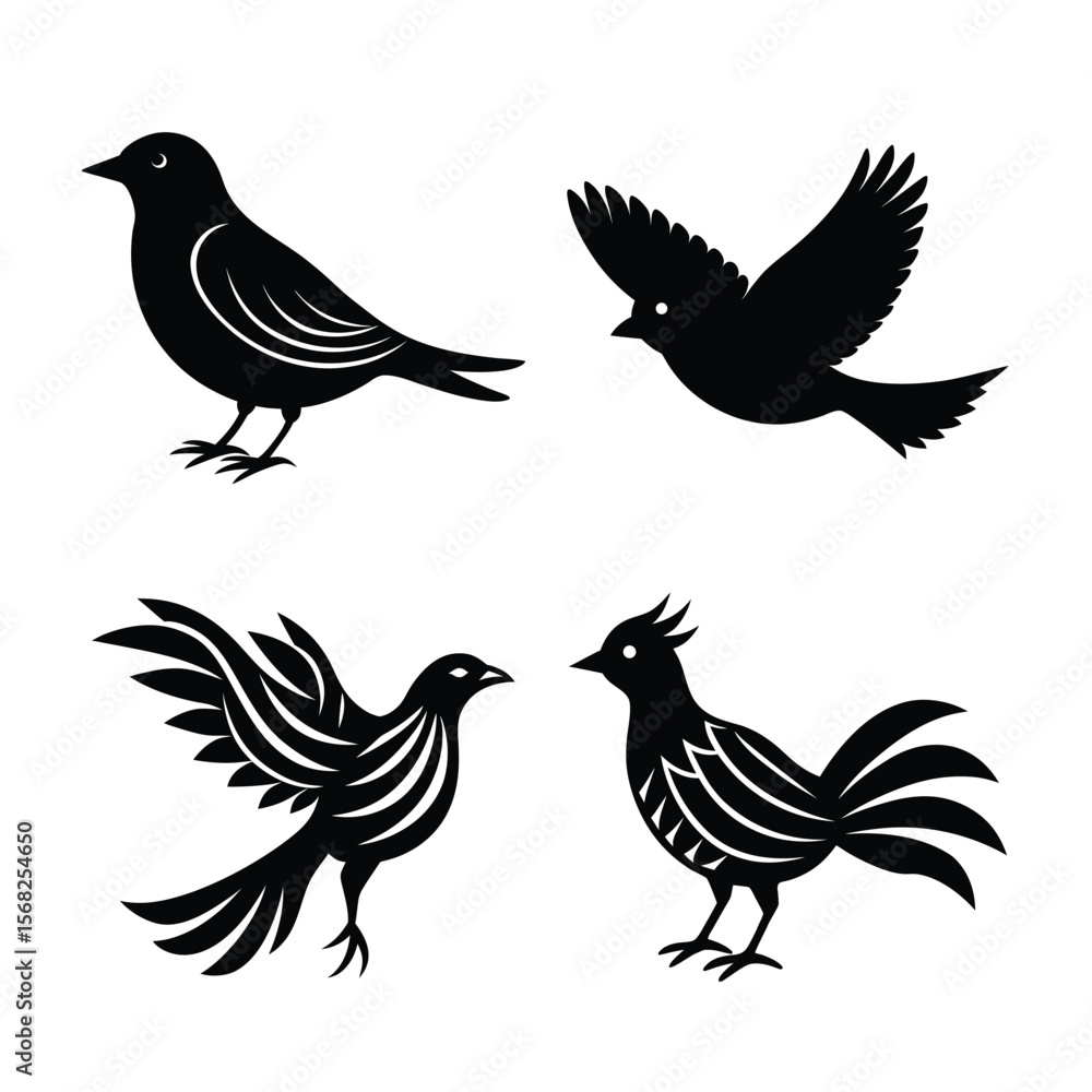 Fototapeta premium silhouette Bird