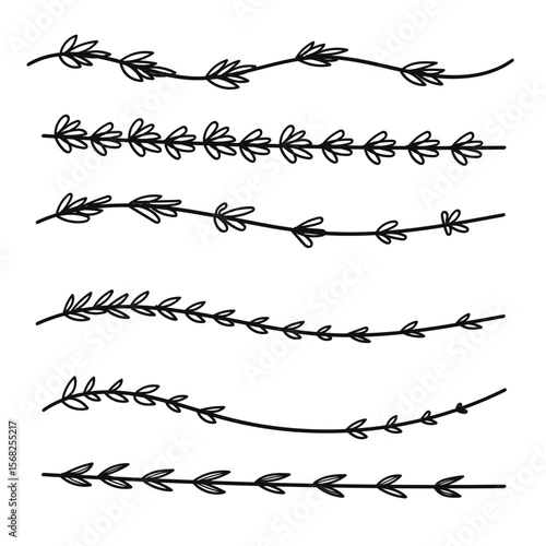 Lavender flowers divider for text layout separator decoration.