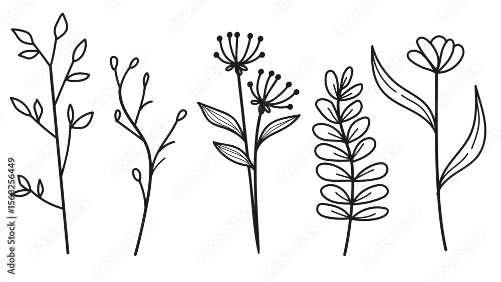 Naklejka premium Hand drawn botanical leaves and flowers line art collection