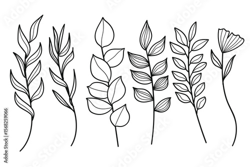 Hand drawn line art botanical leaves and flower elements collection. Vector illustration.