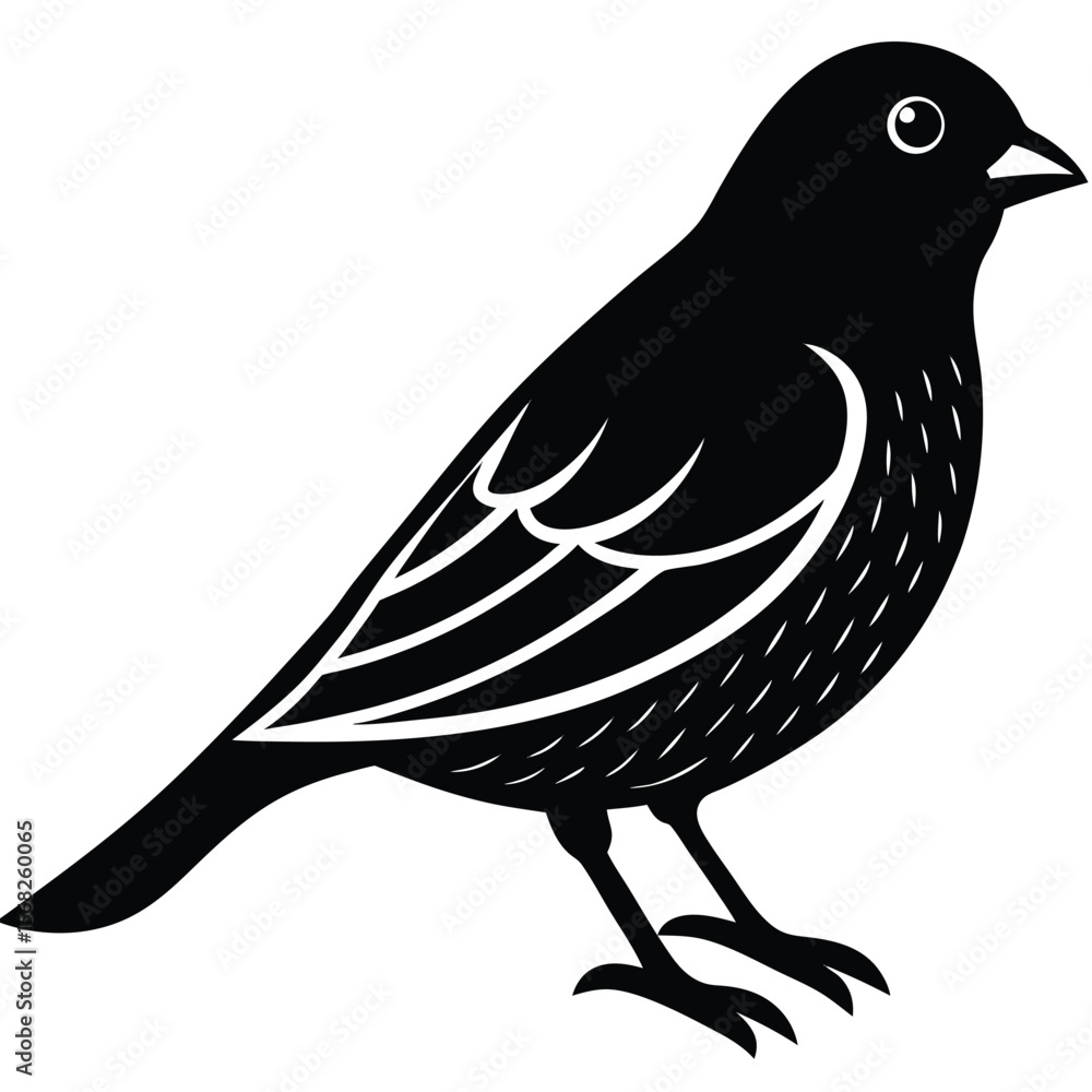 Obraz premium Canary bird single vector shilhouette 