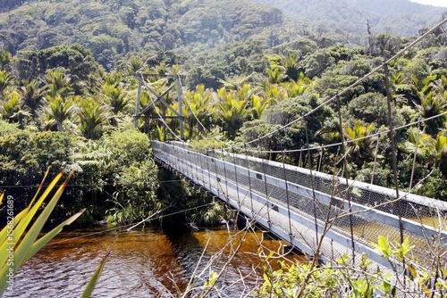Kohaihai Suspension Bridge, Kohaihai to Scotts Beach, Kahurangi National Park, South Island, New Zealand