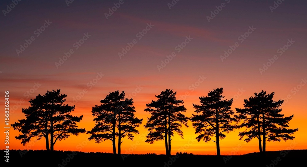 Obraz premium Silhouette of five trees against a vibrant sunset with colorful sky tones