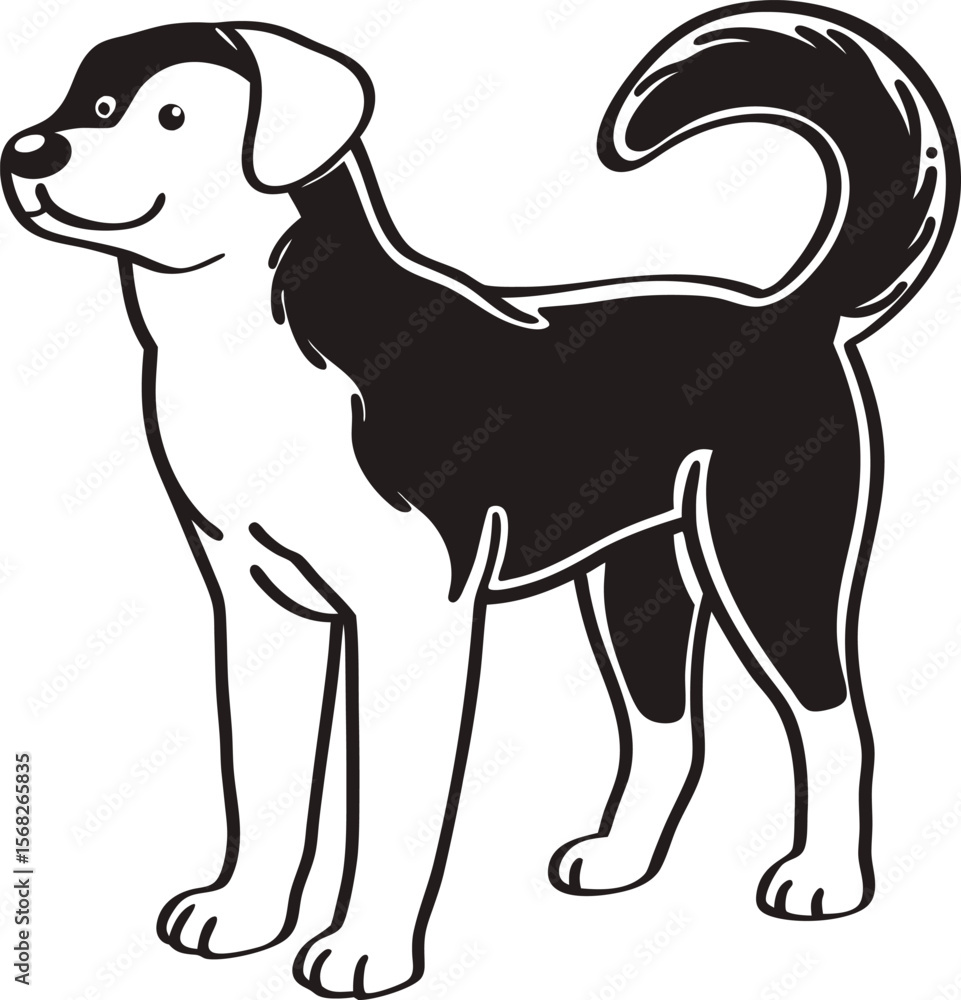 Fototapeta premium Black and white dog