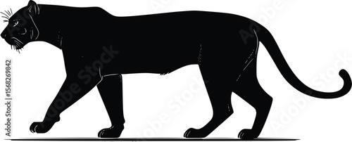 Majestic Panther Vector: Elegant, Dark Silhouette, Walking, Powerful, Wildcat Illustration