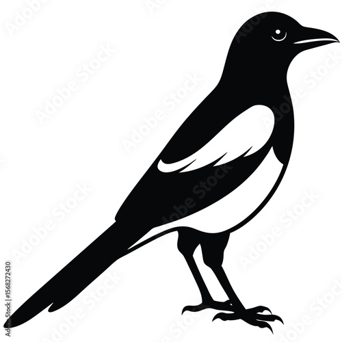 Magpie bird single vector shilhouette 
