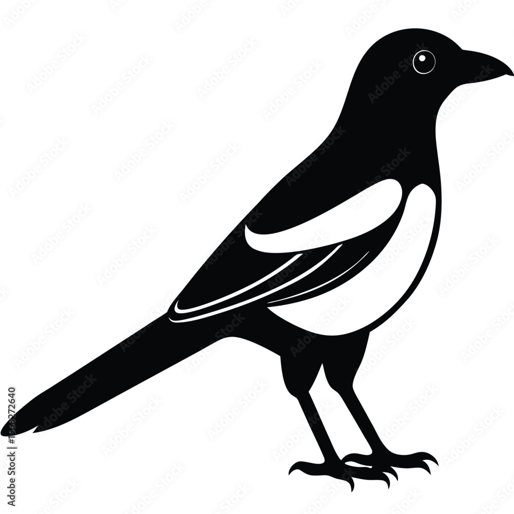Obraz premium Magpie bird single vector shilhouette 