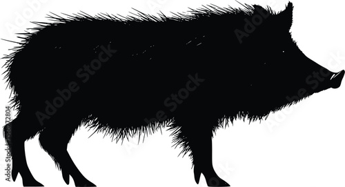 Vector illustration: Wild boar silhouette, dark, hairy, strong, powerful, nature.