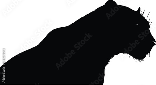 Majestic lioness profile: dramatic vector silhouette illustration