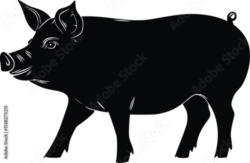 Vector illustration:  stylized black pig silhouette, farm animal graphic, elegant design.