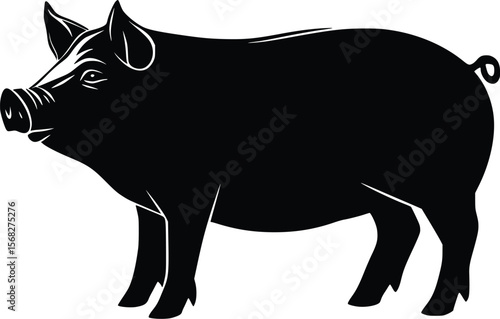 Vector illustration: Black silhouette pig, farm animal, simple style