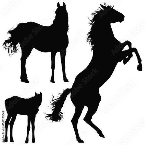 Three horse silhouettes a foal a mare standing and a stallion rearing up
