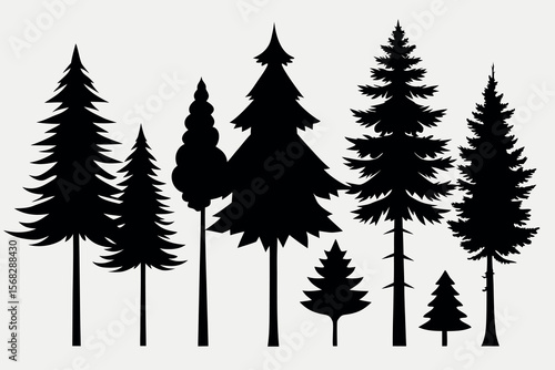 Coniferous Forest Silhouettes – Pine, Spruce, and Evergreen Tree Vector Illustration of Nature Landscape"