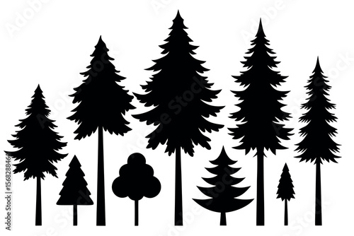 Coniferous Forest Silhouettes – Pine, Spruce, and Evergreen Tree Vector Illustration of Nature Landscape"