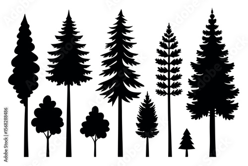 Coniferous Forest Silhouettes – Pine, Spruce, and Evergreen Tree Vector Illustration of Nature Landscape"