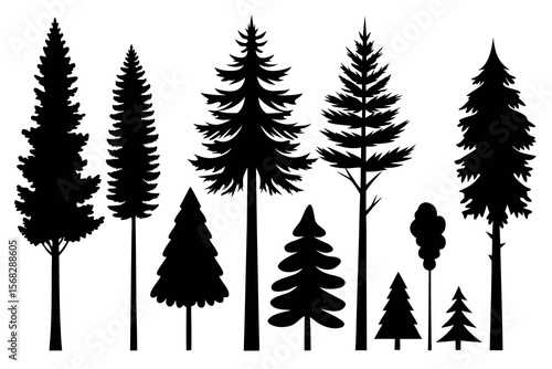 Coniferous Forest Silhouettes – Pine, Spruce, and Evergreen Tree Vector Illustration of Nature Landscape"