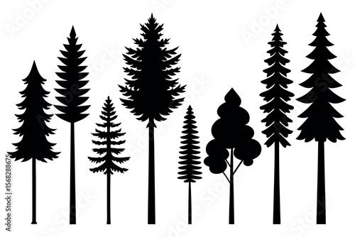 Coniferous Forest Silhouettes – Pine, Spruce, and Evergreen Tree Vector Illustration of Nature Landscape"