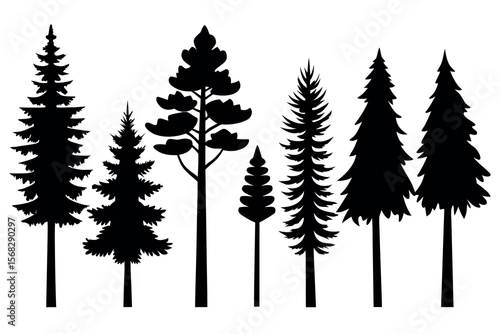 Coniferous and Pine Tree Silhouettes – Vector Collection of Forest Trees on White Background