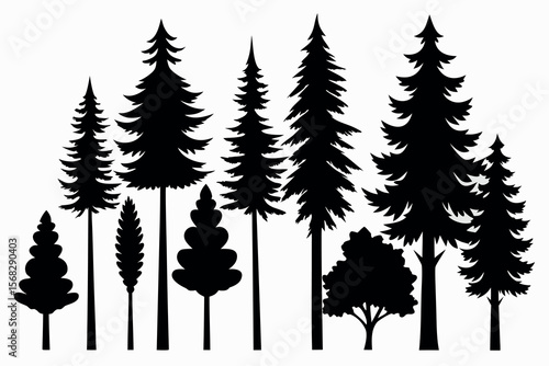 Coniferous and Pine Tree Silhouettes – Vector Collection of Forest Trees on White Background