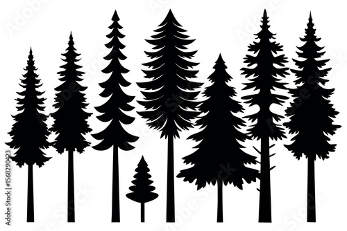 Coniferous and Pine Tree Silhouettes – Vector Collection of Forest Trees on White Background