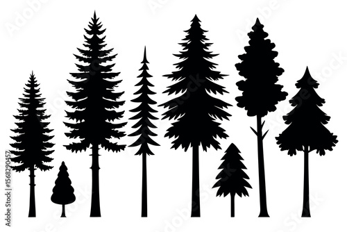Coniferous and Pine Tree Silhouettes – Vector Collection of Forest Trees on White Background
