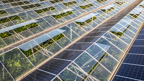 Fotografie Sustainable greenhouse with rooftop solar panels bathed in morning sunlight for eco-friendly vegetable farming and renewable energy generation in a dual-use agricultural system