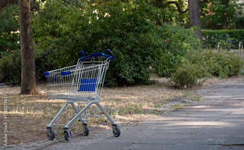 a stolen shopping cart with a blue handle is in the park