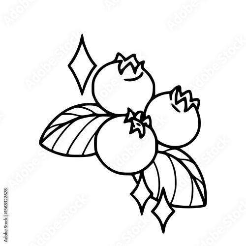 shining blueberries with leaves line art