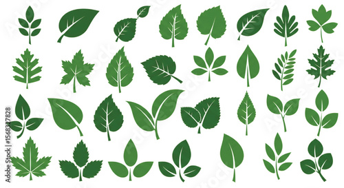 Leaf icons set ecology nature element, green leafs, environment and nature eco sign. Leaves on white background – for stock