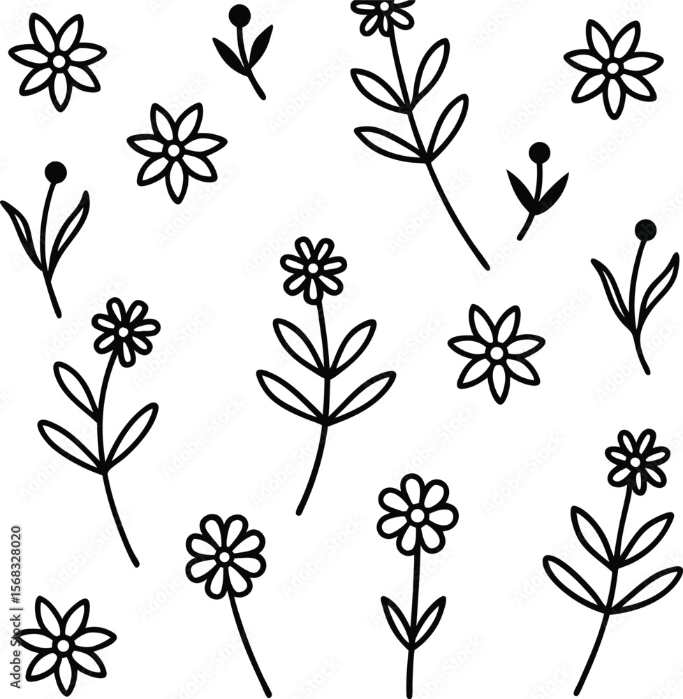 Obraz premium Simple Black and White Floral Illustrations Line Art Flowers and Leaves Design Elements