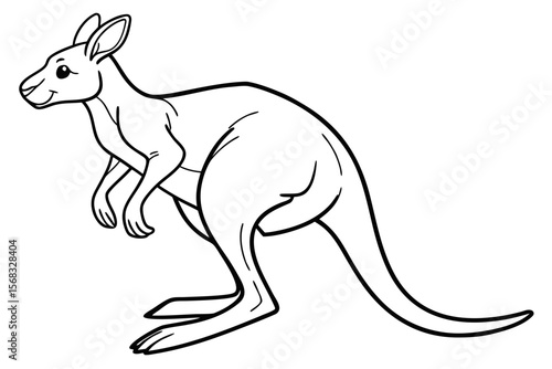 coloring page line art the kangaroo black vector