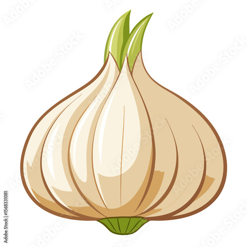 Fresh garlic bulb graphic, suitable for culinary design or food related marketing, with a natural and organic appeal, easy to use for recipes or farm product adverts.