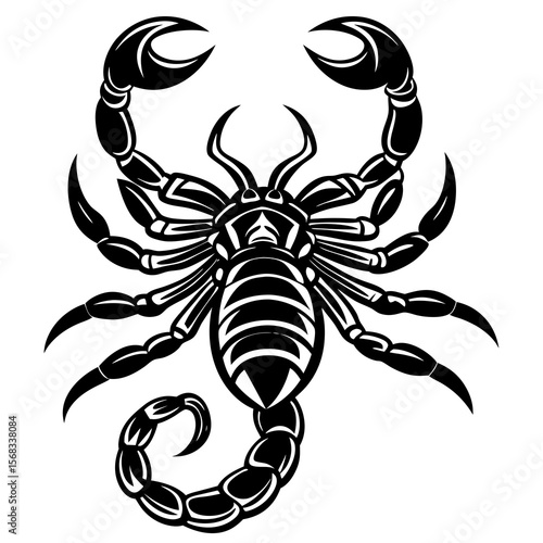 scorpion tattoo vector