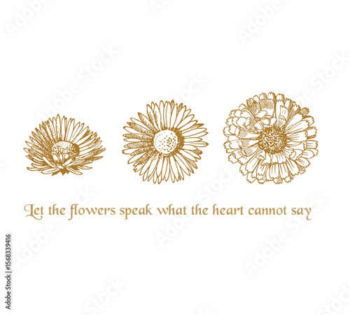 Vintage Flower Illustration with Poetic Quote – Hand Drawn Botanical Line Art