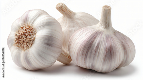 Two garlic bulbs with purple-pink stripes on skin