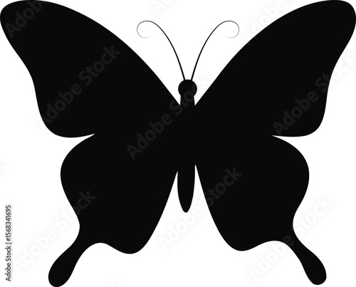 Silhouette of a butterfly with detailed wing patterns vector illustration
