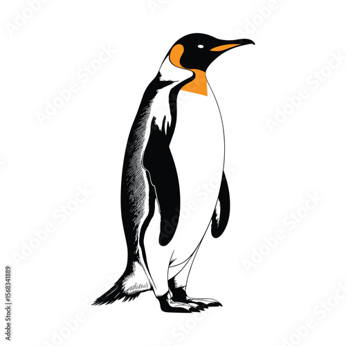 Realistic Emperor Penguin Colorful Vector Illustration.