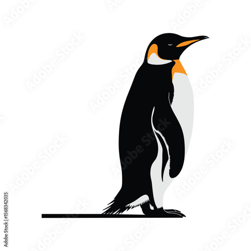 Realistic Emperor Penguin Colorful Vector Illustration.