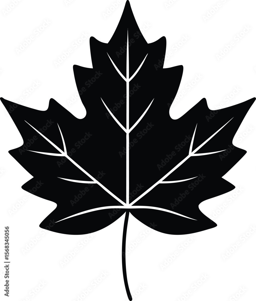 Fototapeta premium Simple Black Silhouette of a Maple Leaf Nature Illustration