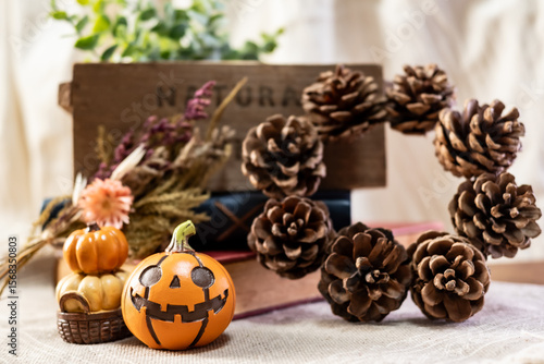 Jack-O'-Lantern, Pampkin, Halloween, Autumn, Image of Halloween, Natural objects ハロウィーンの飾り