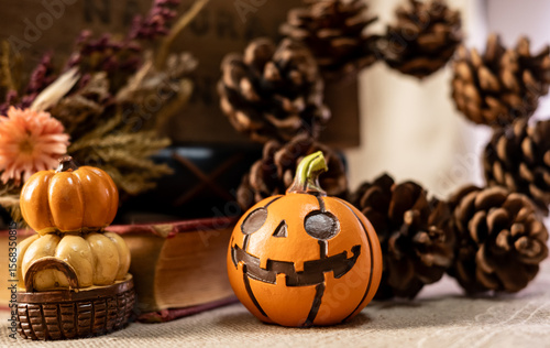 Jack-O'-Lantern, Pampkin, Halloween, Autumn, Image of Halloween, Natural objects ハロウィーンの飾り