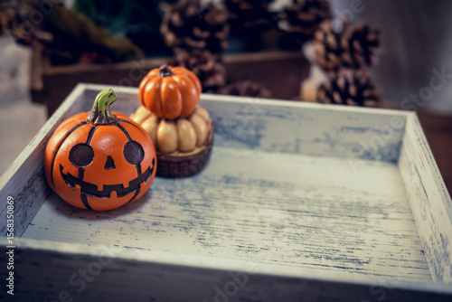 Jack-O'-Lantern, Pampkin, Halloween, Autumn, Image of Halloween, Natural objects ハロウィーンの飾り