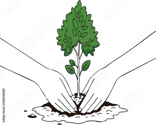 Two hands gently planting a small green tree seedling into fertile soil for growth and new beginnings