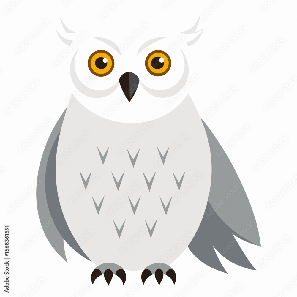 Fototapeta premium snowy owl on white background