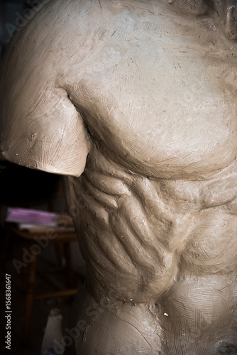 Anatomy of men, body 