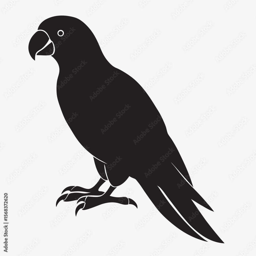 Fototapeta premium silhouette parrot on the white background 