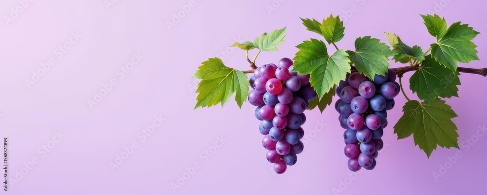 custom made wallpaper toronto digitalFresh Grapes with Green Leaves on Light Purple Background