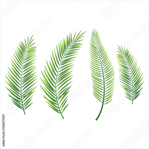 Tropical leaves palm branch realistic