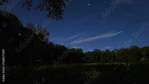 Fireflies over the prairie