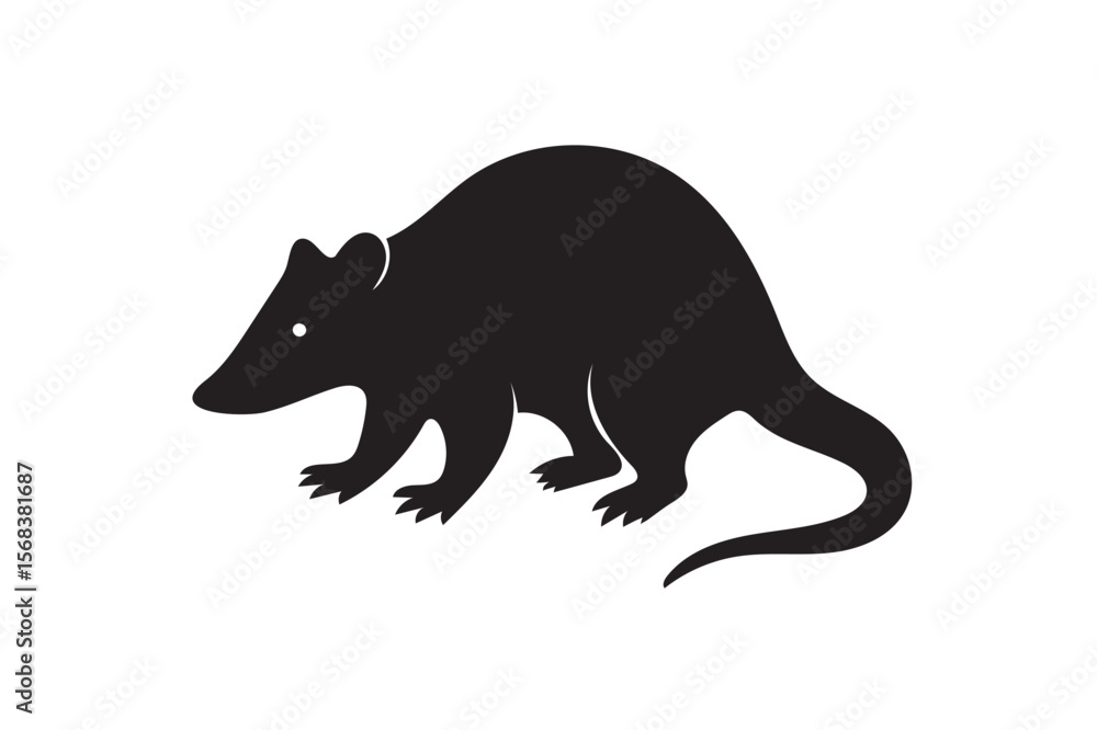 Fototapeta premium Possum silhouette.